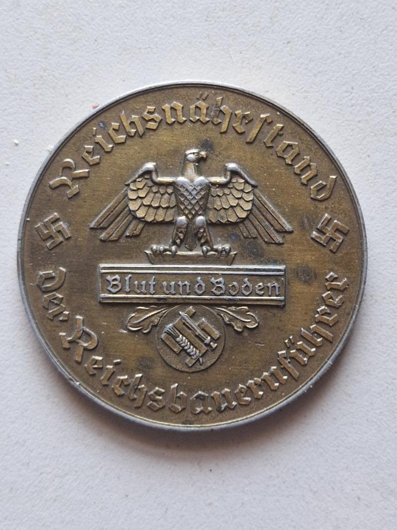Blood and Soil Medallion
