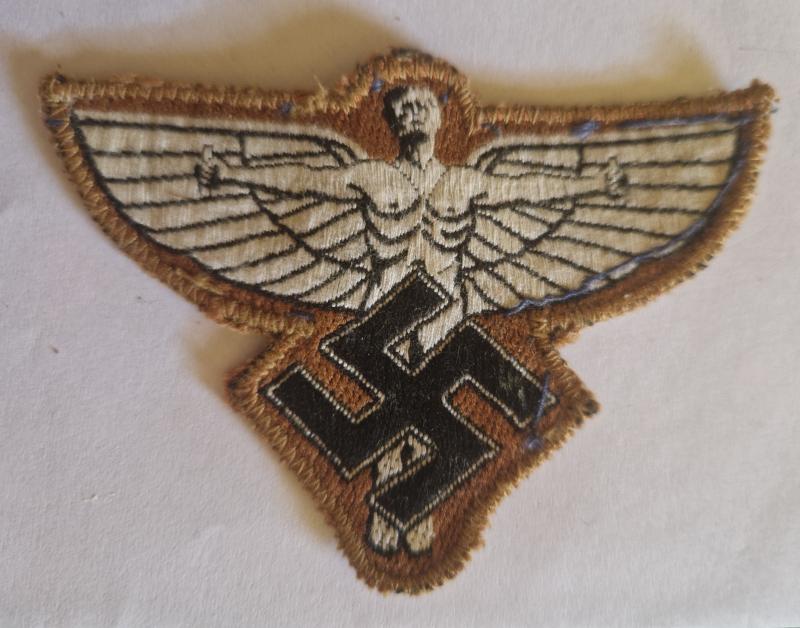 DLV NSFK Uniform Badge